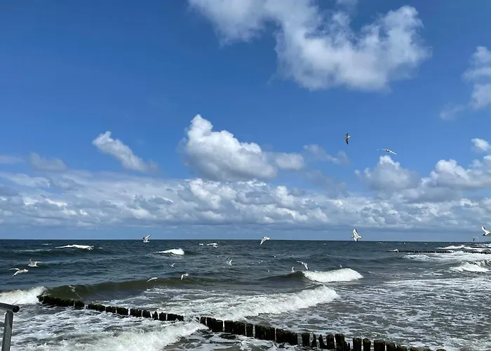 Apartament Seaside Deluxe 105 *